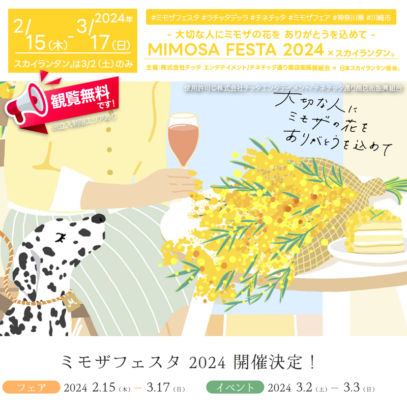 From February 15 to March 17, 2024, the "MIMOSA FESTA 2024" is held in Kawasaki, Kanagawa at La Cittadella and nearby. This festival features free live performances, flower arrangements, markets, contests, and more, all themed around the mimosa flower.
