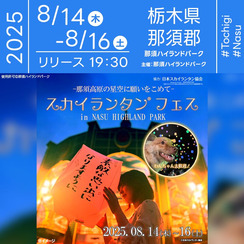 日本スカイランタン協会®です！😊 2025年8月14日（木）-16日（土）栃木県那須郡那須町 那須ハイランドパーク「スカイランタンフェス」（主催：那須ハイランドパーク）が開催されます🎊 夜、日が暮れて星が瞬き始める頃、各日250基スカイランタンリリースが行われます❗ 夏の夜空が、みなさんの願いをのせたランタンで幻想的に彩られる3日間。 ふわりと舞い上がる淡い光は、写真や動画にもぴったり。 わんちゃんも一緒に楽しめるので、ご家族やカップル、友人同士で思い出づくりを楽しめます。 会場ではランタンに願いごとを書き込む時間もあり、特別な一瞬を大切にできます。 大切な人と見上げる光景は、一生忘れられない宝物✨ キラキラと輝くランタンの群れが夜空に浮かぶ瞬間を、ぜひあなたの心にも刻んでください💫🐾📸